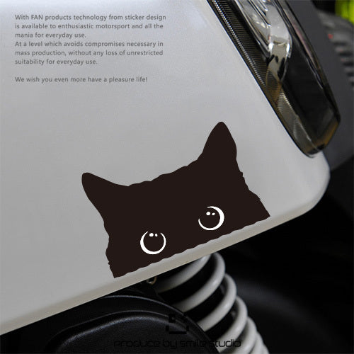 Black Cat Decal